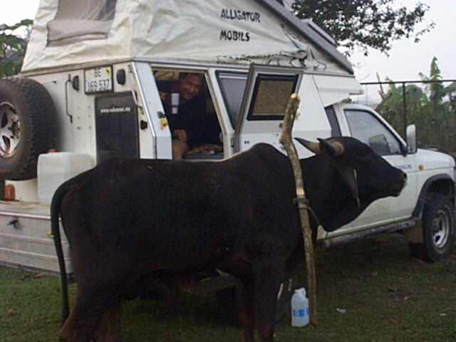 Parque Nac.Miraflore, 28.04.03.jpg - wie der stier zu nahe kam flüchtete marius in den wagen